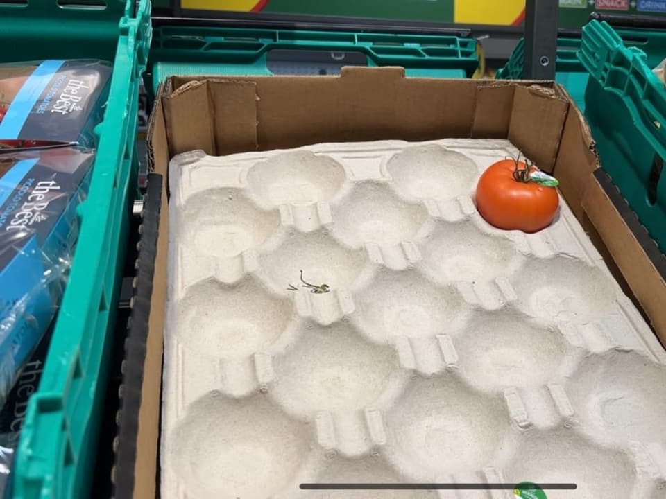 Eine einzelne Tomate liegt in einer Gemüsekiste in einem Supermarkt.
