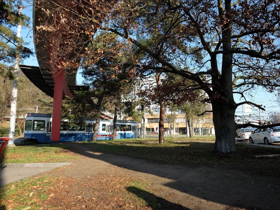 Blau-weisses Tram steht an der Endhaltestelle mit Bäumen und Rasen.