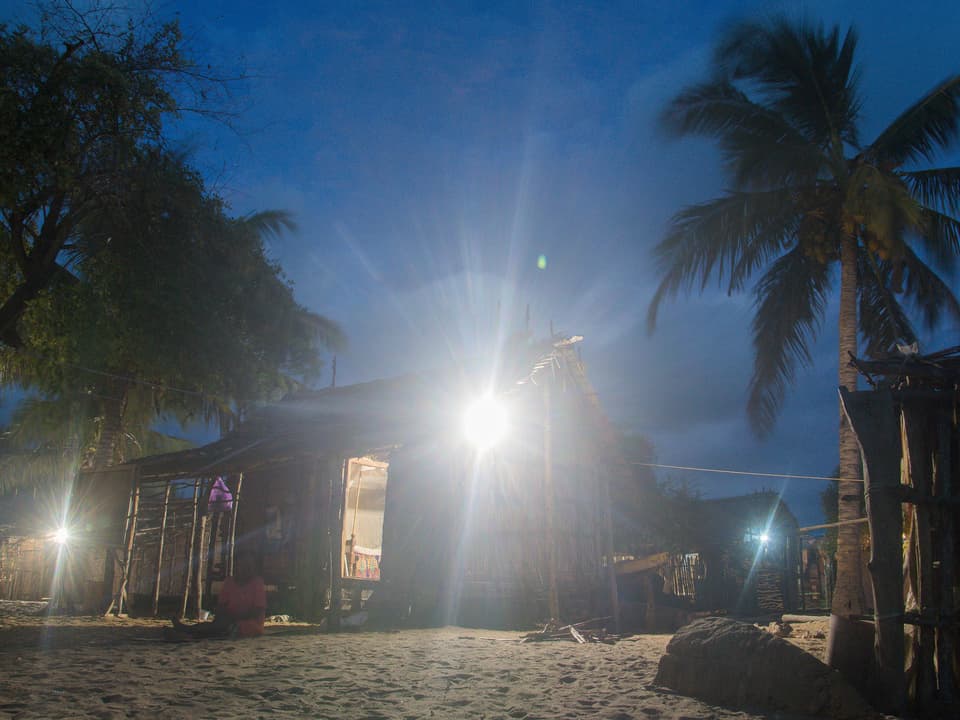 Lichtquellen an Häusern, die von Palmen umgeben sind.