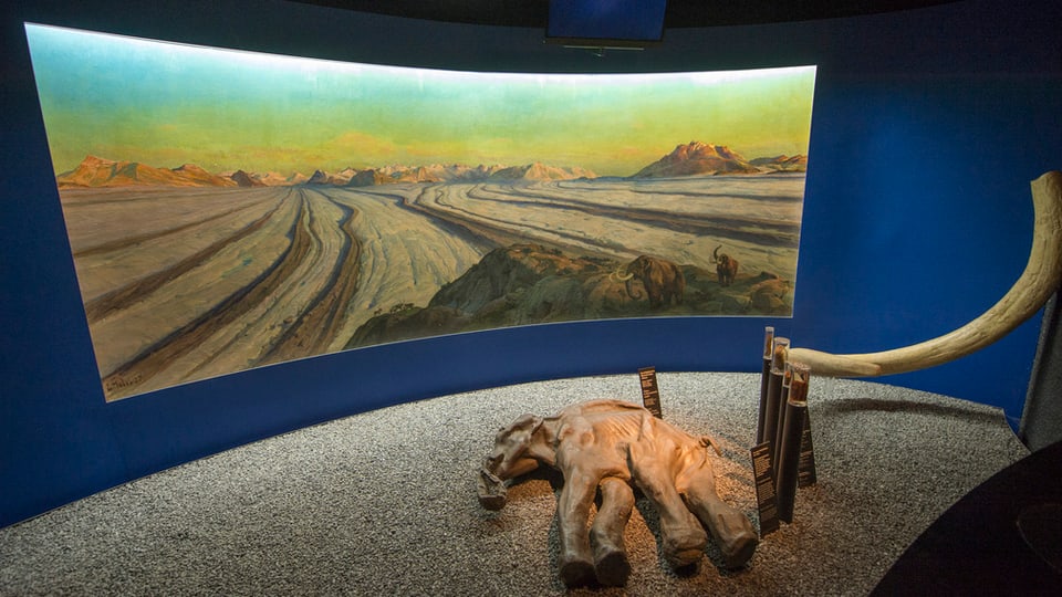 Panorama-Bild eines Gletschers in einem Ausstellungsraum des Gletschergartens.