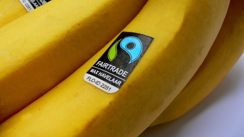 Bananen mit dem Fairtrade Label Max Havelaar
