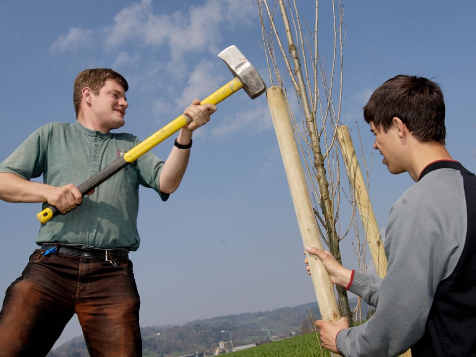 Zwei Behinderte Männer hämmern einen Stützpfahl aus Holz in den Boden