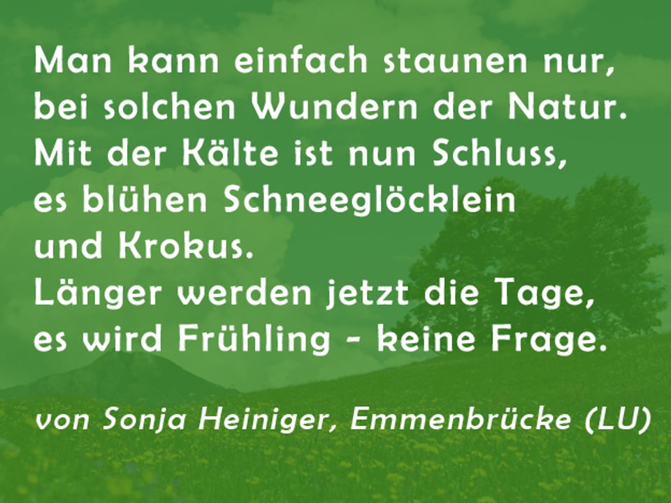 Gedicht von Sonja Heiniger: Man kann einfach staunen nur, bei solchen Wundern der Natur. Mit der Kälte ist nun Schluss, es blühen Schneeglöcklein und Krokus. Länger werden jetzt die Tage, es wird Frühling - keine Frage.