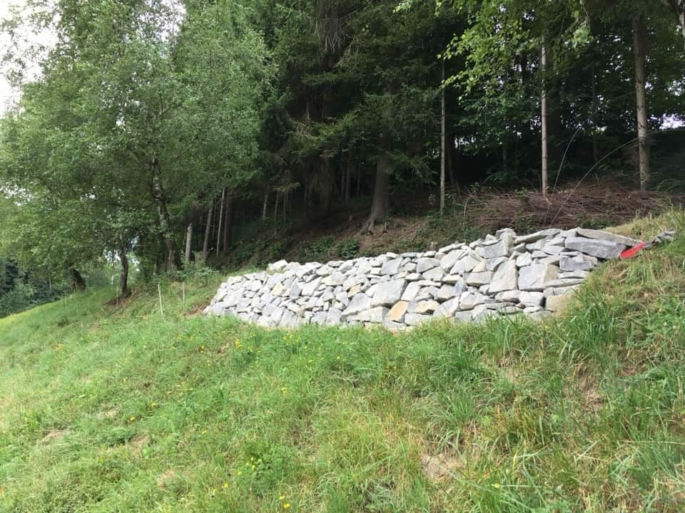 Letztes Jahr hat Guido Häfliger am Waldrand eine Trockensteinmauer erstellt. Die Natursteine bieten Nischen für Reptilien, Insekten, Spinnen, Schnecken, und werden von verschiedenen Pflanzen, Moosen und Flechten besiedelt.
