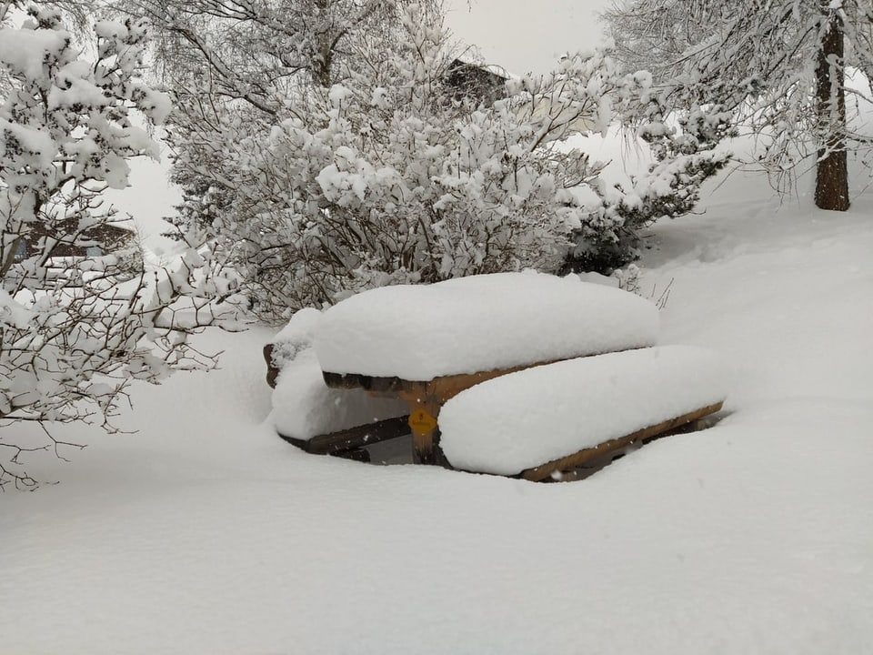 Eine Garten versinkt im Schnee