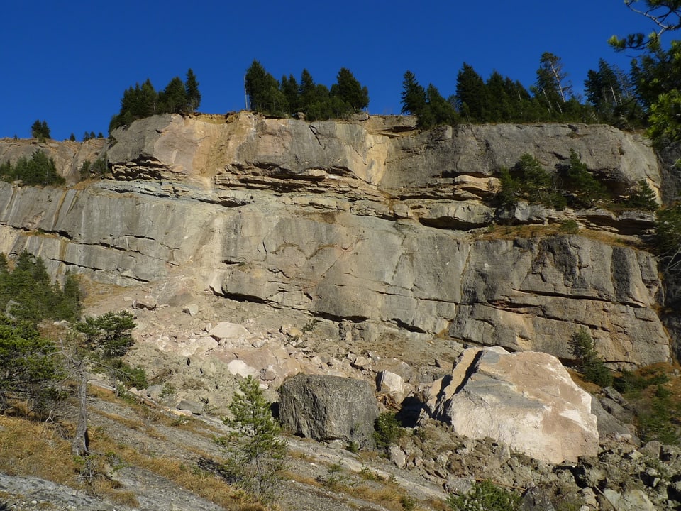 Steile Felswand am Rossberg, wo sich das Gestein gelöst hat.