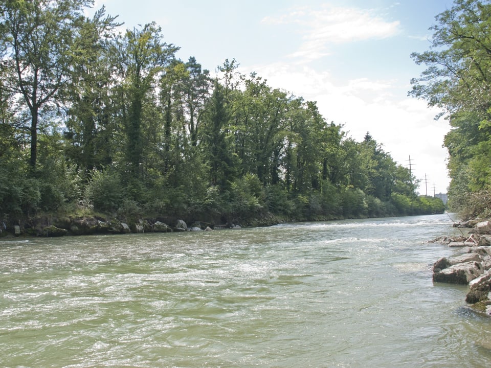 Flusslauf der Emme, der Fluss füllt das Flussbett komplett aus.