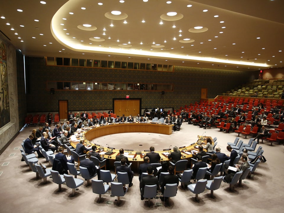 Der UNO-Sicherheitsrat
