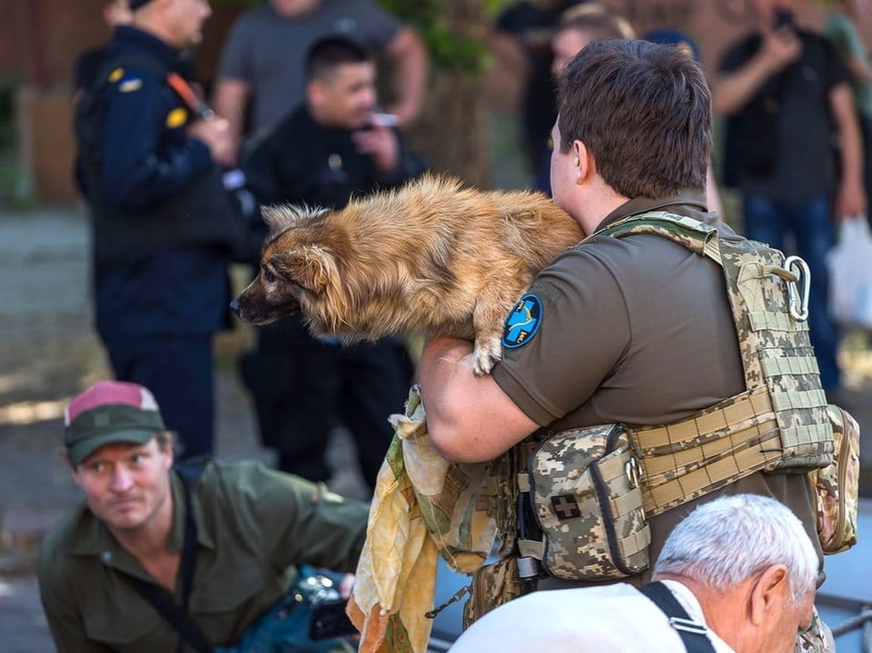Ein Soldat evakuiert einen Hund. 