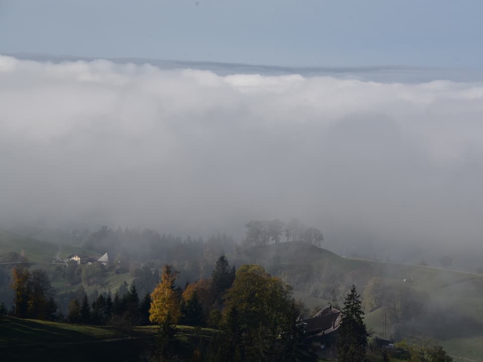 Blick auf Hügel und einige Häuser an der Nebelgrenze.