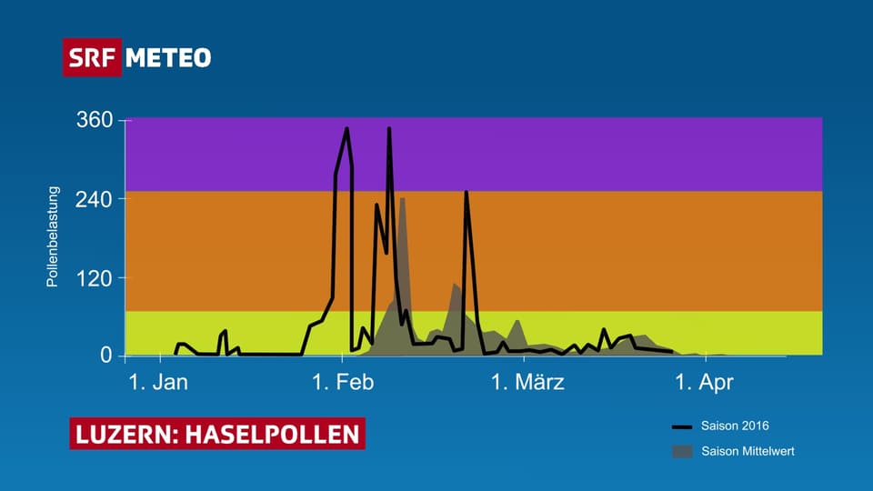Ein Diagramm mit dem Verlauf der Pollenbelastung in Luzern. Vergleich Saison 2016 vs. Mittelwert.