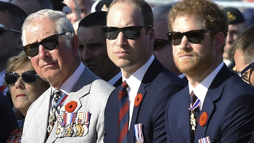 Charles, William und Harry 2017 bei einer Zeremonie in Frankreich.