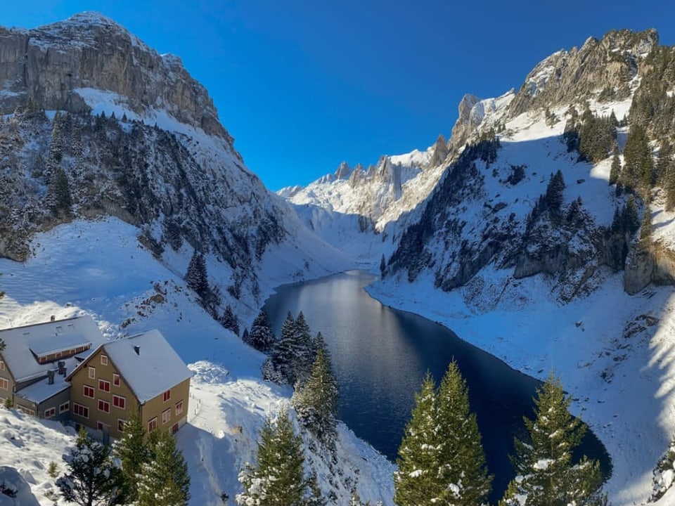 Blick auf den See, frisch verschneite Landschaft und blauer Himmel.