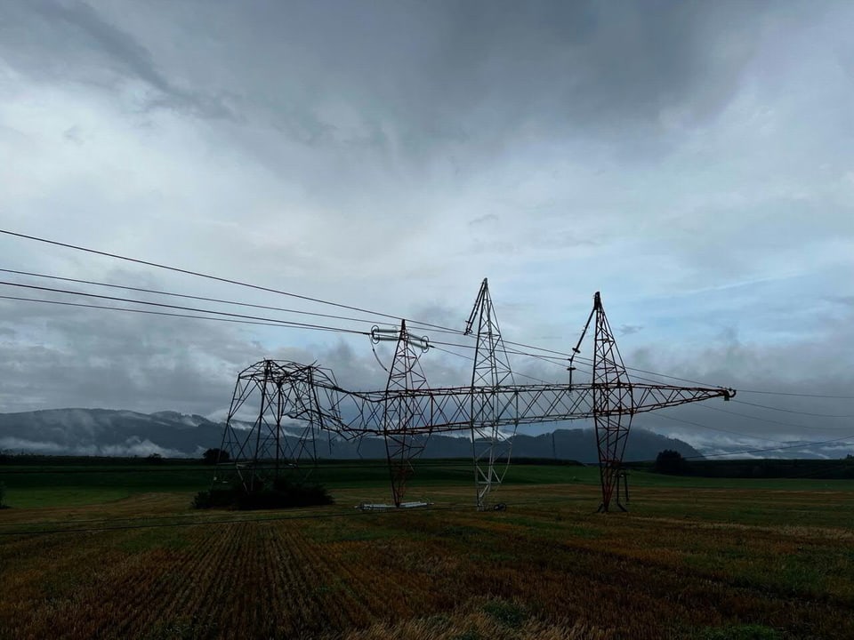 A toppled power pole lies in the field.
