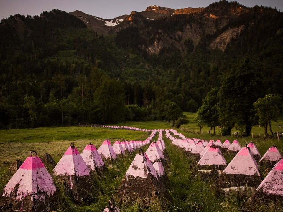 Rosa Kunstobjekte in einer Naturlandschaft