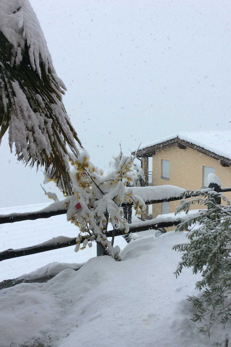 Meterhoher Schnee in Brissago