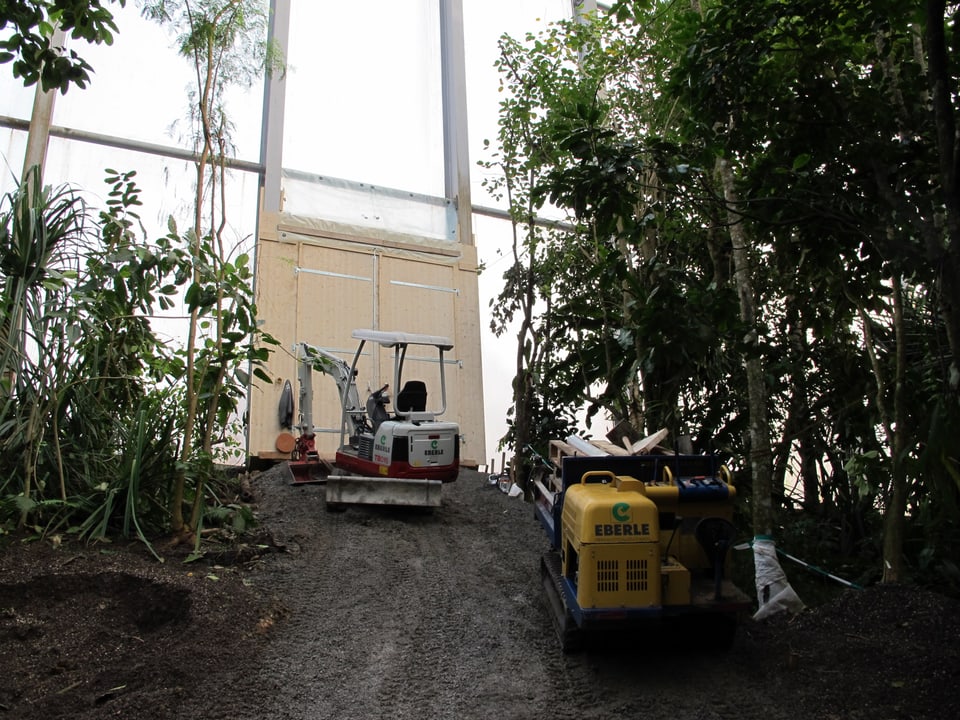 Für die Bauarbeiten wurde extra eine spezielle Zugangsschleuse in die Masoala-Halle eingerichtet.