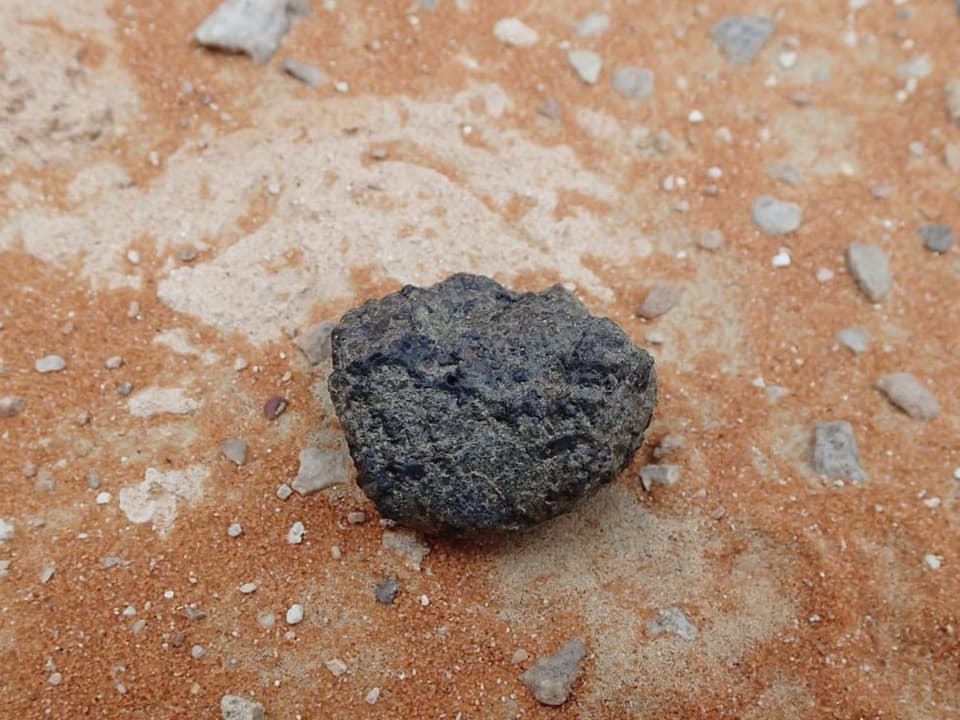 Ein Stück vom Mars liegt auf dem Boden.