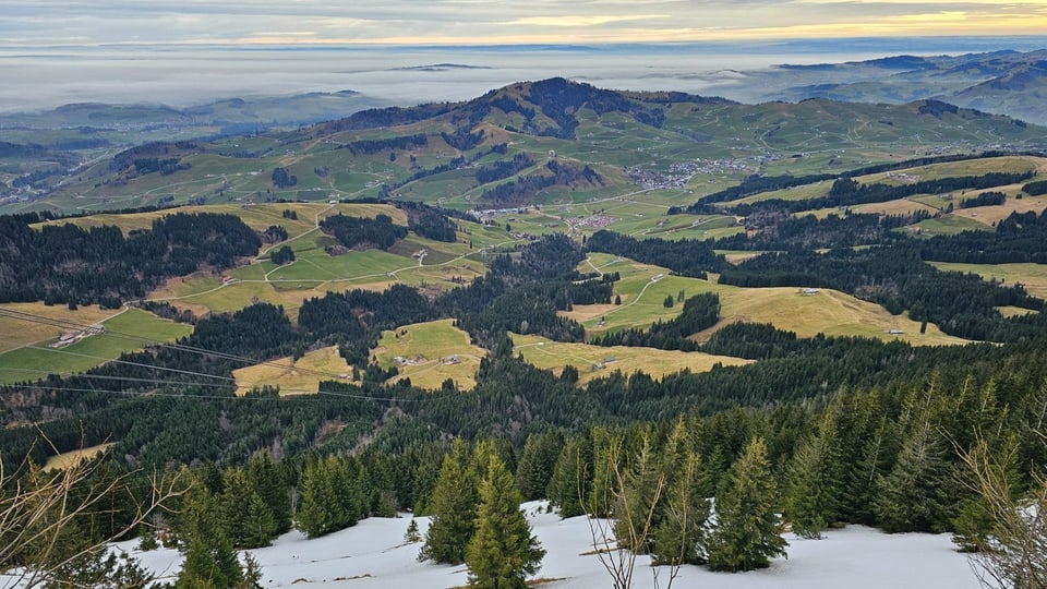 Blick auf das grüne Hügelland in der Ostschweiz.