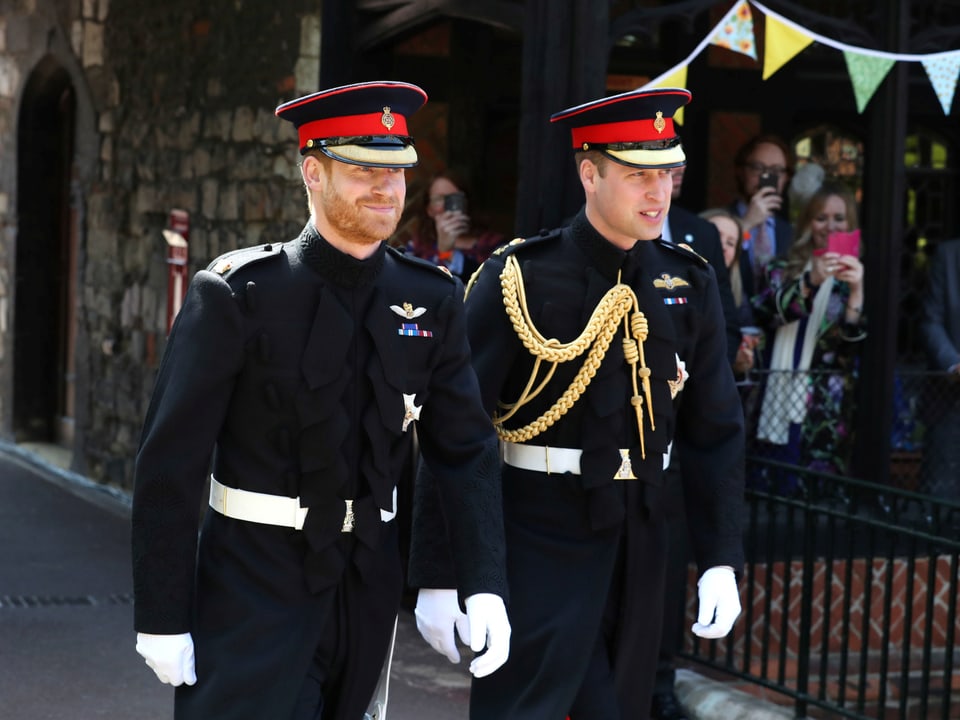 Prinz Harry und Prinz William in Uniform