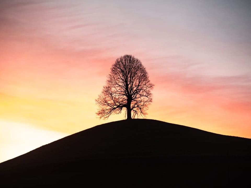 Neuheim/ZG Bunter Morgenhimmel