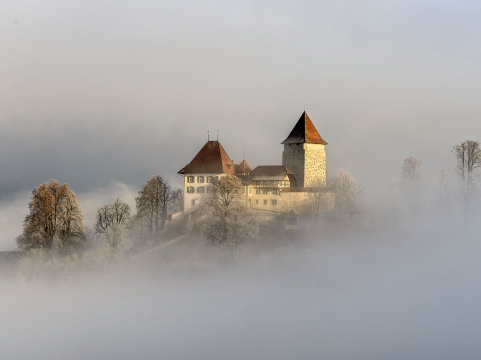 Ein Schloss steht auf einem Hügel umgeben von Nebel.
