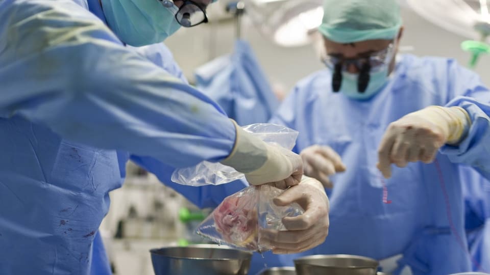 Chirurgen halten einen Plastikbeutel, in dem ein menschliches Herz liegt.