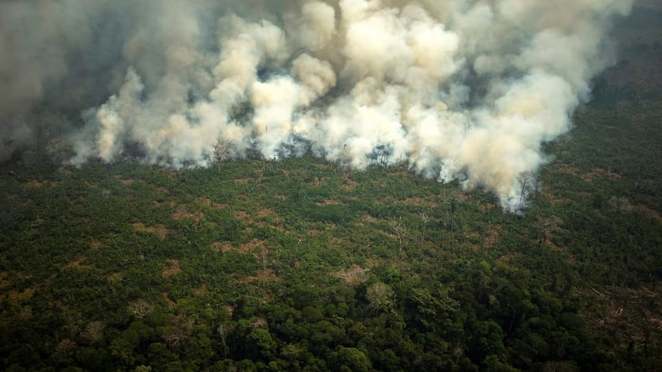 Grossbrand im Regenwald.