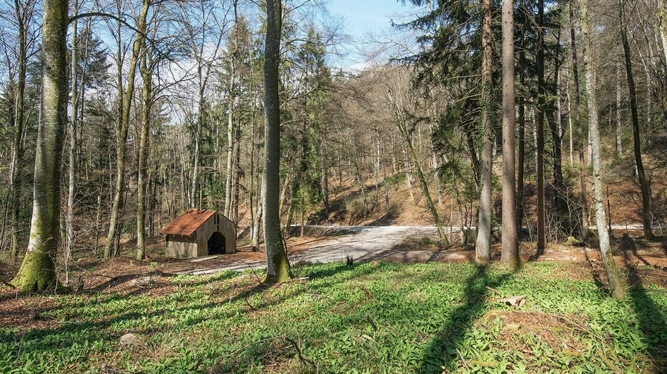 Eine Holzhütte in einem Wald