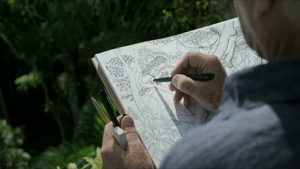 Der Botaniker Francis Hallé bei der Arbeit im Regenwald.