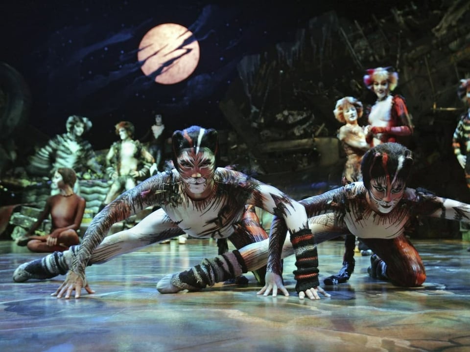 Szene aus dem Musical «Cats» mit tanzenden «Katzen».