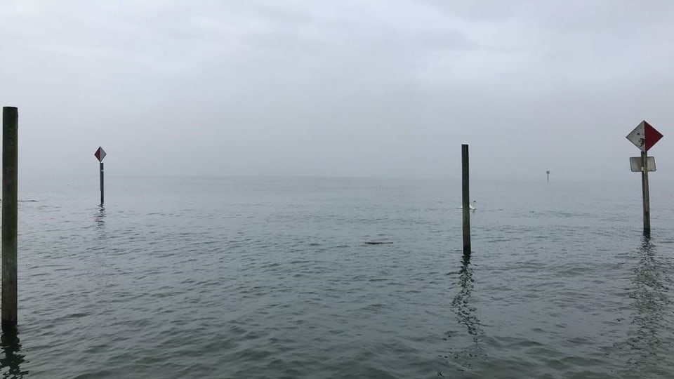 Nebel über See.