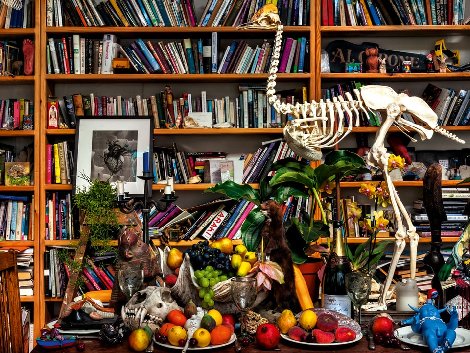 Blick auf einen Tisch mit verschiedenen Fruchtschalen, Schädeln und einem grossen Vogelskelett. Dahinter eine volle Bücherwand.