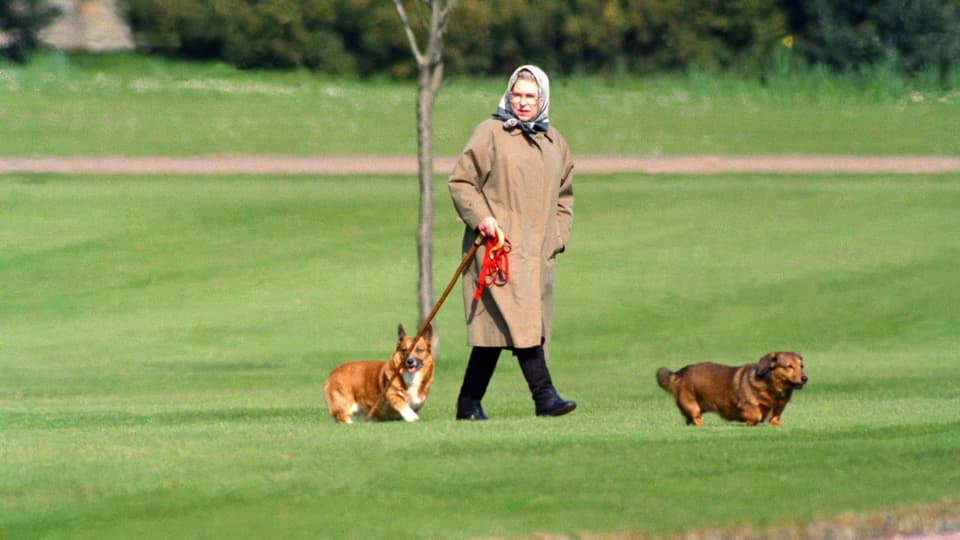 Elizabeth beim Spaziergang mit ihren Hunden. 