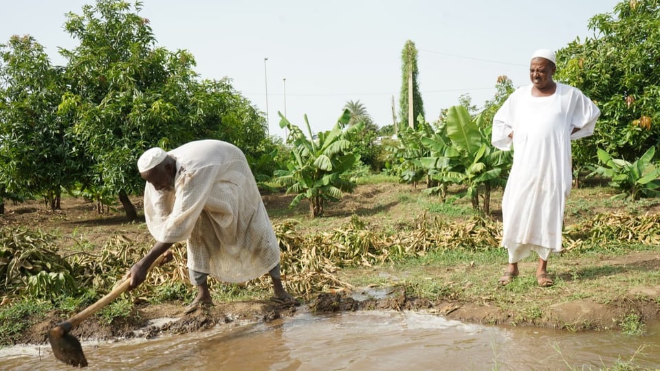 Nilbauern leiten das Grundwasser ins Kanalsystem.