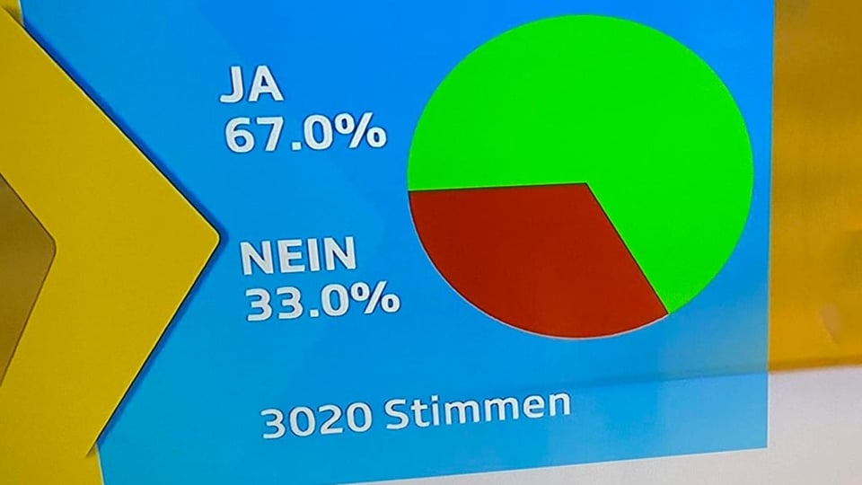 Kuchendiagramm Abstimmungsresultat