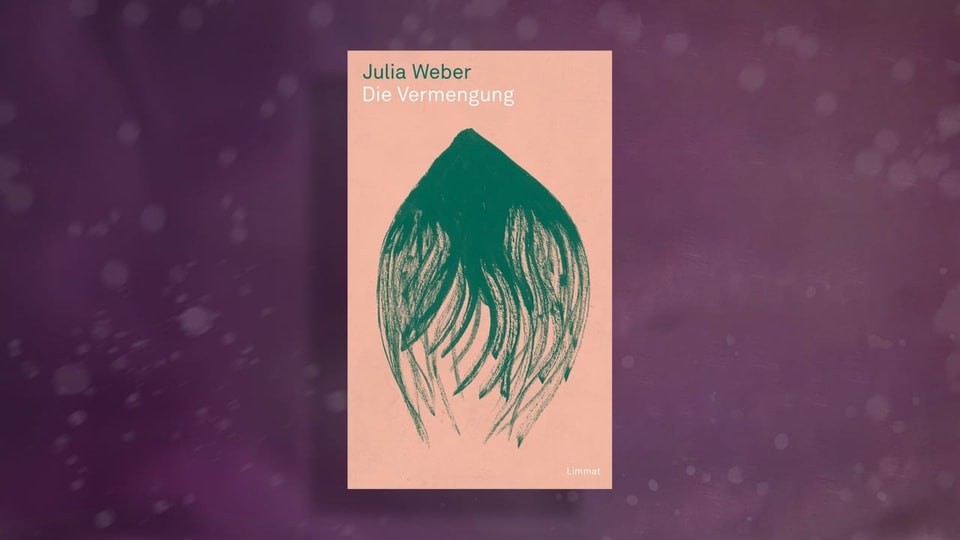 Julia Weber. Die Vermengung Buchcover