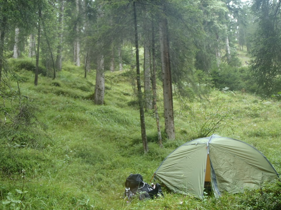 Zelt ist mitten im Wald aufgestellt, am Hang