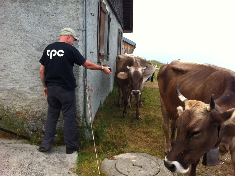 Patrick Gautschy und die Kühe.