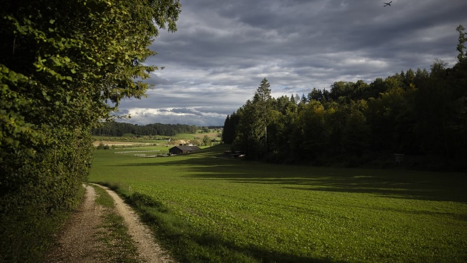 Gebiet Haberstal Stadel, Noerdlich Laegern: Links Bäume, dann eine Wiese, rechts ein bewaldeter Hügel, sehr idyllisch.