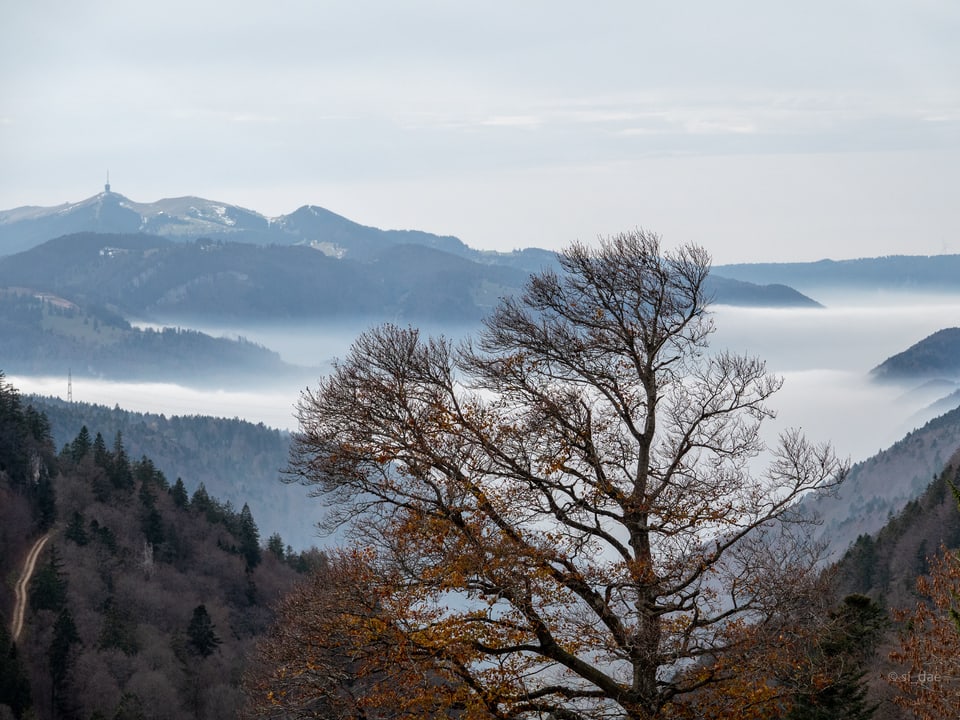 Blick auf Berge und Nebelmeer.