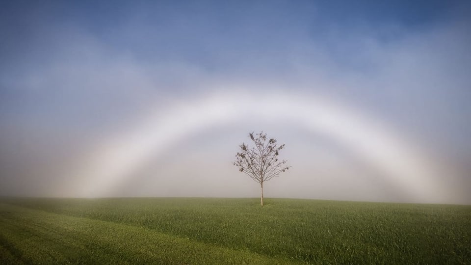 Bogen im Nebel