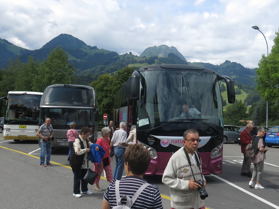 Busse mit Touristen