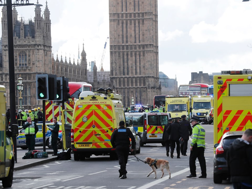 Zahlreiche Ambulanzen und Rettungskräfte bei Westminster