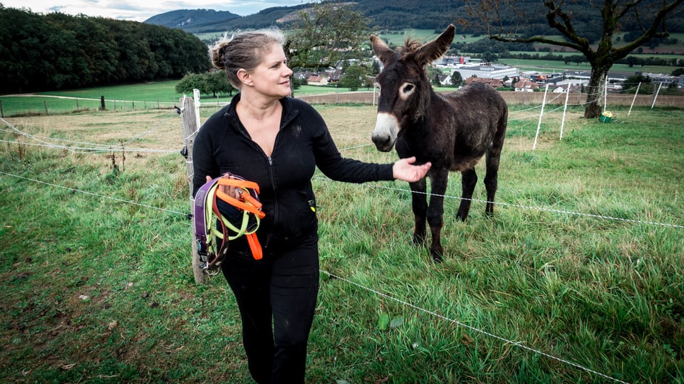 Tanja und ihr Esel