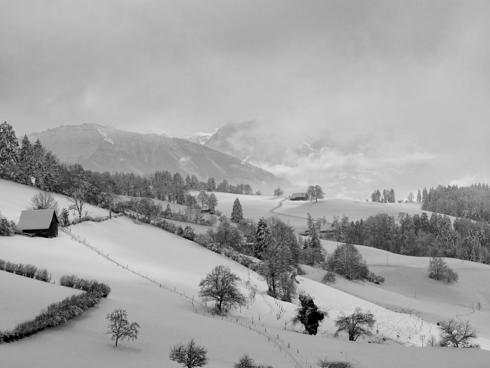 Schneelandschaftsbild von Zürich. 