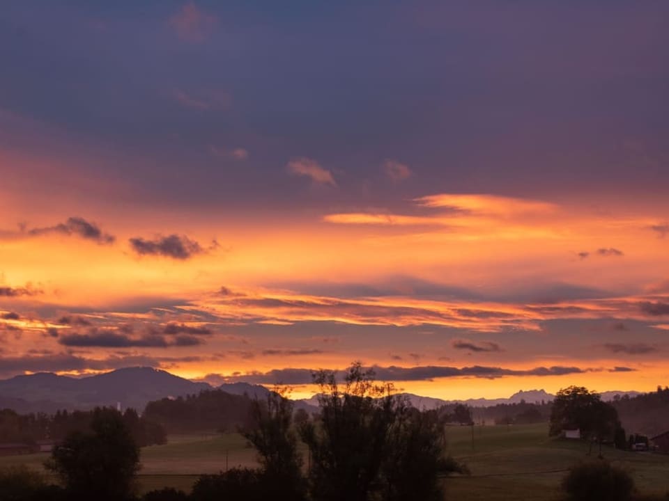 Wetzikon/ZH Morgenrot