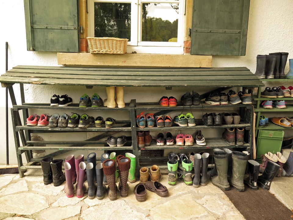 Viele verschiedene Schuhe auf einem Schuhgestell.