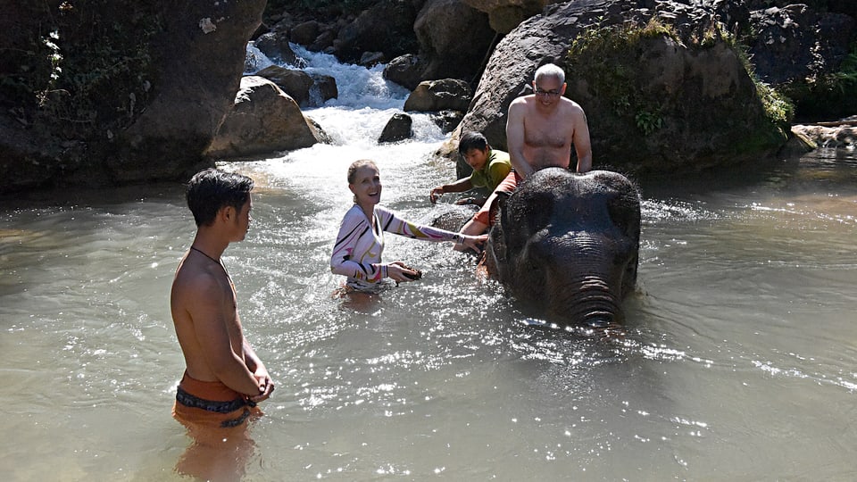 Touristen baden mit einem Elefanten.