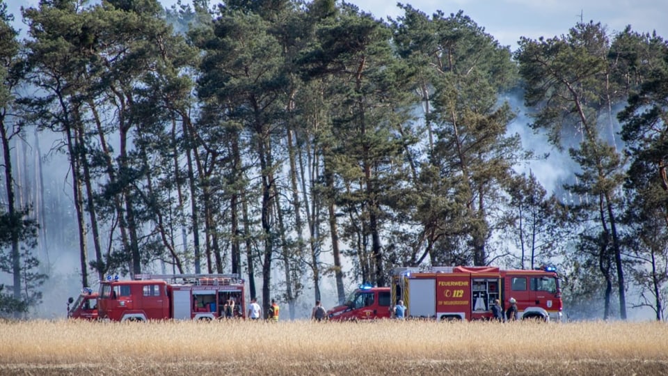 Feuerwehrautos im Einsatz am Wahldrand.